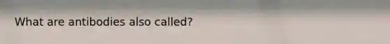 What are antibodies also called?