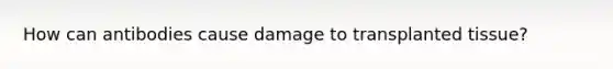 How can antibodies cause damage to transplanted tissue?