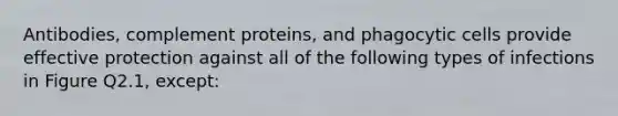 Antibodies, complement proteins, and phagocytic cells provide effective protection against all of the following types of infections in Figure Q2.1, except: