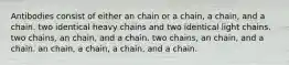 Antibodies consist of either an chain or a chain, a chain, and a chain. two identical heavy chains and two identical light chains. two chains, an chain, and a chain. two chains, an chain, and a chain. an chain, a chain, a chain, and a chain.