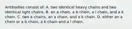 Antibodies consist of: A. two identical heavy chains and two identical light chains. B. an a chain, a b chain, a l chain, and a k chain. C. two a chains, an a chain, and a k chain. D. either an a chain or a b chain, a k chain and a l chain.