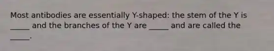 Most antibodies are essentially Y-shaped: the stem of the Y is _____ and the branches of the Y are _____ and are called the _____.