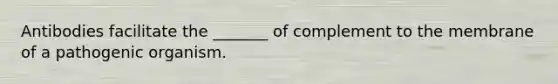 Antibodies facilitate the _______ of complement to the membrane of a pathogenic organism.