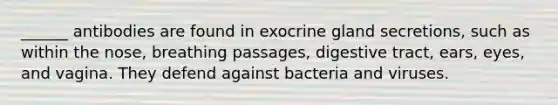 ______ antibodies are found in exocrine gland secretions, such as within the nose, breathing passages, digestive tract, ears, eyes, and vagina. They defend against bacteria and viruses.