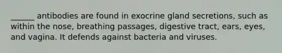 ______ antibodies are found in exocrine gland secretions, such as within the nose, breathing passages, digestive tract, ears, eyes, and vagina. It defends against bacteria and viruses.