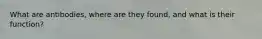 What are antibodies, where are they found, and what is their function?