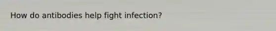 How do antibodies help fight infection?