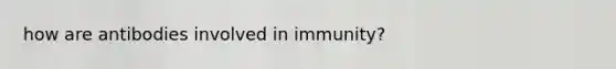 how are antibodies involved in immunity?