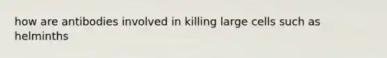 how are antibodies involved in killing large cells such as helminths