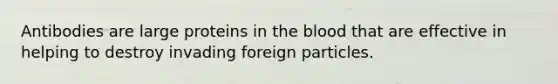 Antibodies are large proteins in the blood that are effective in helping to destroy invading foreign particles.​