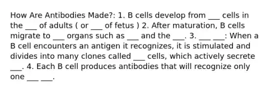 How Are Antibodies Made?: 1. B cells develop from ___ cells in the ___ of adults ( or ___ of fetus ) 2. After maturation, B cells migrate to ___ organs such as ___ and the ___. 3. ___ ___: When a B cell encounters an antigen it recognizes, it is stimulated and divides into many clones called ___ cells, which actively secrete ___. 4. Each B cell produces antibodies that will recognize only one ___ ___.