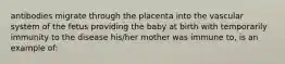 antibodies migrate through the placenta into the vascular system of the fetus providing the baby at birth with temporarily immunity to the disease his/her mother was immune to, is an example of: