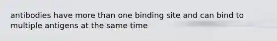 antibodies have more than one binding site and can bind to multiple antigens at the same time