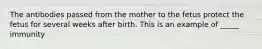 The antibodies passed from the mother to the fetus protect the fetus for several weeks after birth. This is an example of _____ immunity