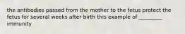 the antibodies passed from the mother to the fetus protect the fetus for several weeks after birth this example of _________ immunity