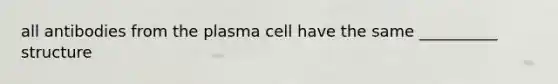 all antibodies from the plasma cell have the same __________ structure