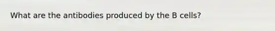 What are the antibodies produced by the B cells?