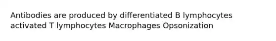 Antibodies are produced by differentiated B lymphocytes activated T lymphocytes Macrophages Opsonization