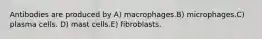 Antibodies are produced by A) macrophages.B) microphages.C) plasma cells. D) mast cells.E) fibroblasts.