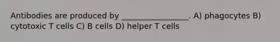 Antibodies are produced by _________________. A) phagocytes B) cytotoxic T cells C) B cells D) helper T cells