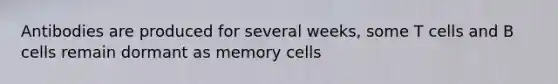 Antibodies are produced for several weeks, some T cells and B cells remain dormant as memory cells