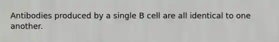 Antibodies produced by a single B cell are all identical to one another.