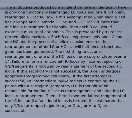 The antibodies produced by a single B cell are all identical. There is only one functionally rearranged LC locus and one functionally rearranged HC locus. How is this accomplished when each B cell has 2 kappa and 2 lambda LC loci and 2 HC loci? If more than one locus rearranged functionally, then each B cell would express a mixture of antibodies. This is prevented by a process termed allelic exclusion. Each B cell expresses only one LC and one HC and the process of allelic exclusion ensures that rearrangement of other LC or HC loci will halt once a functional gene has been generated. The first thing to occur is rearrangement of one of the HC loci on one copy of chromosome 14. Failure to form a functional HC locus by incorrect splicing of V/D/J segments is followed by rearrangement of the second HC locus. If this second try is not successful, the B cell undergoes apoptosis (programmed cell death). If the first attempt is successful, an intermediate Ig-like molecule containing the HC paired with a surrogate (temporary) LC is thought to be responsible for halting HC locus rearrangement and initiating LC locus rearrangement. Then, there is sequential rearrangement of the LC loci until a functional locus is formed. It is estimated that only 1/3 of attempts to join V to J or D to J or V to DJ are successful.