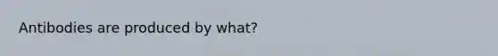 Antibodies are produced by what?