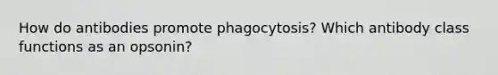 How do antibodies promote phagocytosis? Which antibody class functions as an opsonin?