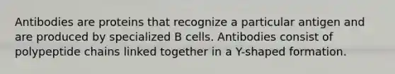 Antibodies are proteins that recognize a particular antigen and are produced by specialized B cells. Antibodies consist of polypeptide chains linked together in a Y-shaped formation.