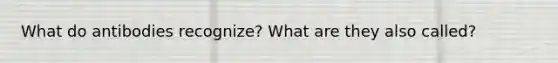 What do antibodies recognize? What are they also called?