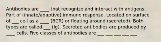 Antibodies are ____ that recognize and interact with antigens. Part of (innate/adaptive) immune response. Located on surface of ___ cell as a ____ (BCR) or floating around (secreted). Both types are called ___ (Ig). Secreted antibodies are produced by ____ cells. Five classes of antibodies are ___ ___ ___ ___ ___