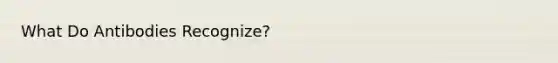 What Do Antibodies Recognize?