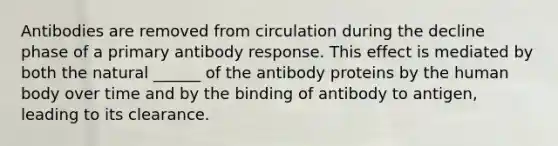 Antibodies are removed from circulation during the decline phase of a primary antibody response. This effect is mediated by both the natural ______ of the antibody proteins by the human body over time and by the binding of antibody to antigen, leading to its clearance.