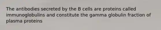 The antibodies secreted by the B cells are proteins called immunoglobulins and constitute the gamma globulin fraction of plasma proteins