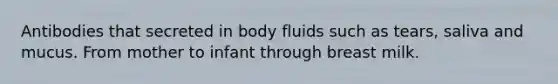 Antibodies that secreted in body fluids such as tears, saliva and mucus. From mother to infant through breast milk.