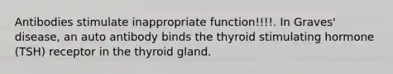 Antibodies stimulate inappropriate function!!!!. In Graves' disease, an auto antibody binds the thyroid stimulating hormone (TSH) receptor in the thyroid gland.