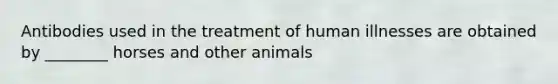 Antibodies used in the treatment of human illnesses are obtained by ________ horses and other animals