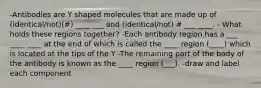 -Antibodies are Y shaped molecules that are made up of (identical/not)(#) ____ ___ and (identical/not) # ___ ____. - What holds these regions together? -Each antibody region has a ___ ____ ____ at the end of which is called the ____ region (____) which is located at the tips of the Y -The remaining part of the body of the antibody is known as the ____ region (___). -draw and label each component