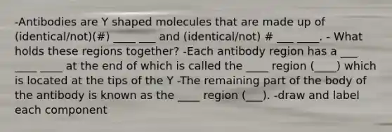 -Antibodies are Y shaped molecules that are made up of (identical/not)(#) ____ ___ and (identical/not) # ___ ____. - What holds these regions together? -Each antibody region has a ___ ____ ____ at the end of which is called the ____ region (____) which is located at the tips of the Y -The remaining part of the body of the antibody is known as the ____ region (___). -draw and label each component