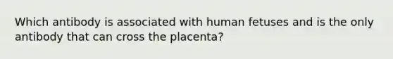 Which antibody is associated with human fetuses and is the only antibody that can cross the placenta?