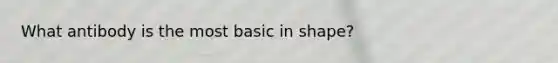 What antibody is the most basic in shape?