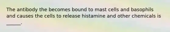 The antibody the becomes bound to mast cells and basophils and causes the cells to release histamine and other chemicals is ______.