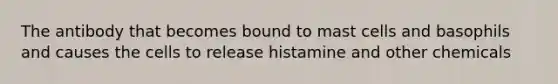 The antibody that becomes bound to mast cells and basophils and causes the cells to release histamine and other chemicals