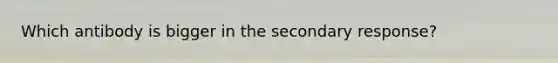 Which antibody is bigger in the secondary response?