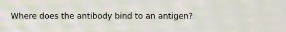 Where does the antibody bind to an antigen?