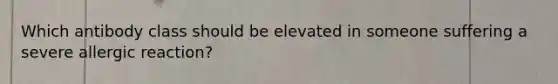 Which antibody class should be elevated in someone suffering a severe allergic reaction?