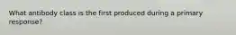 What antibody class is the first produced during a primary response?