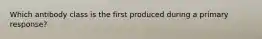 Which antibody class is the first produced during a primary response?
