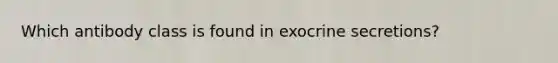 Which antibody class is found in exocrine secretions?